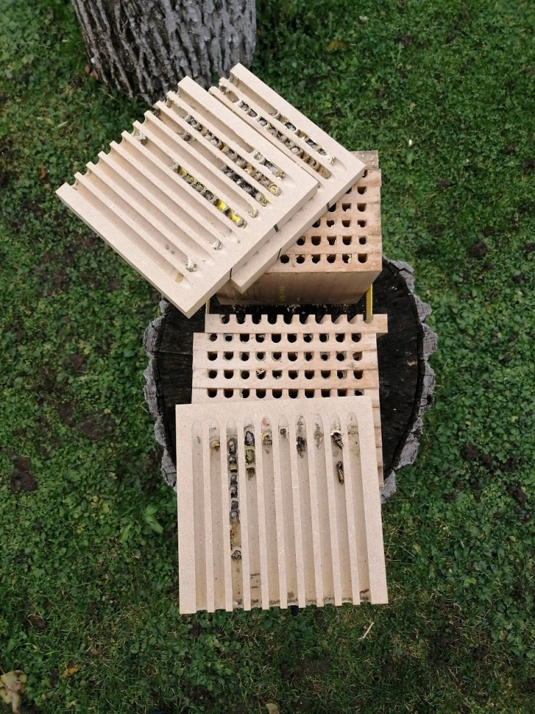 wildbienen nistkasten1.jpg