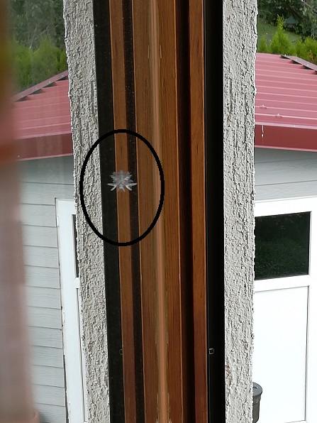 Feder am Fenster.jpg