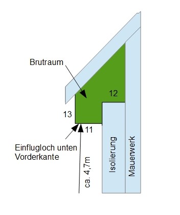 20190413_Brutraum Mauersegler.jpg