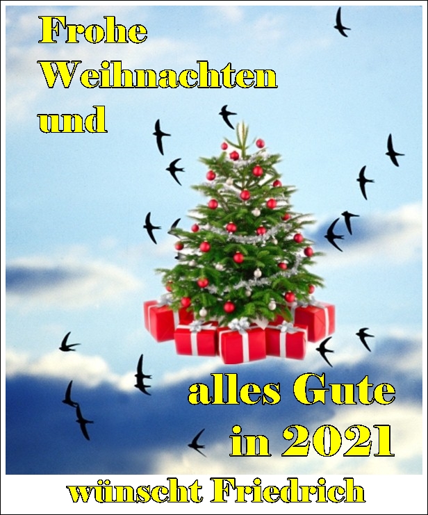 Weihnachtsgruß 2021.jpeg