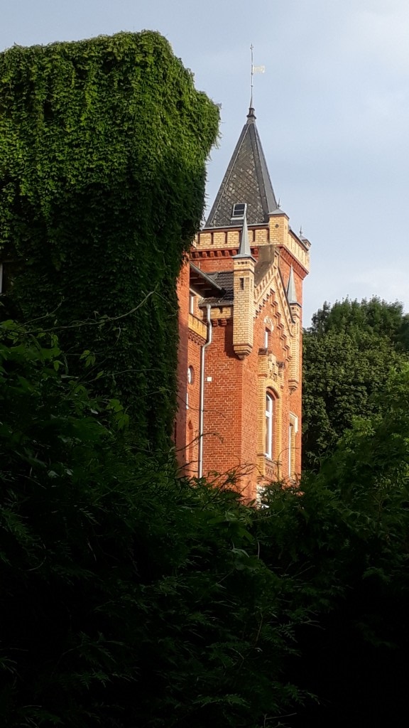 Ein Blick auf den Turm mit den Nistplätzen unter dem Dachvorsprung