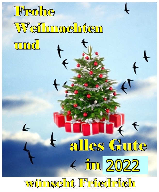 Weihnachtsgruß 2021.jpeg