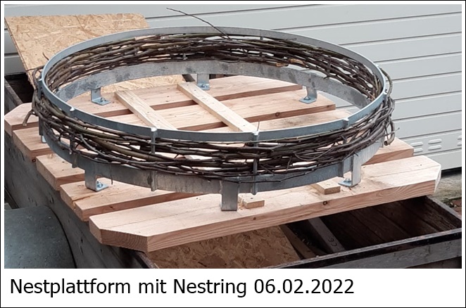 Nestring-1.JPG