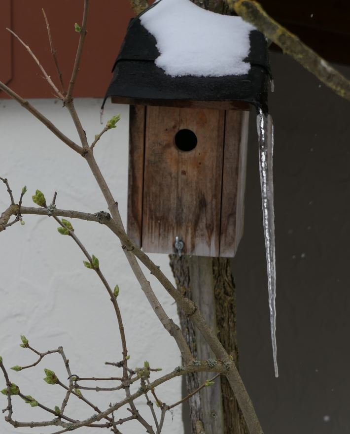 Eiszapfen am kasten.JPG