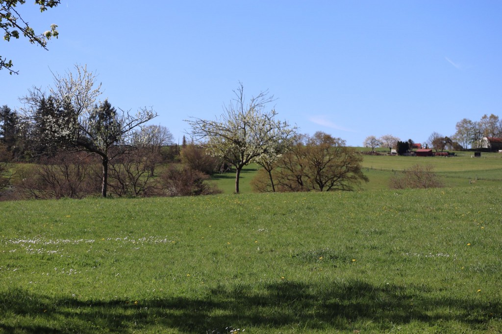 bei Hömberg über der Lahn