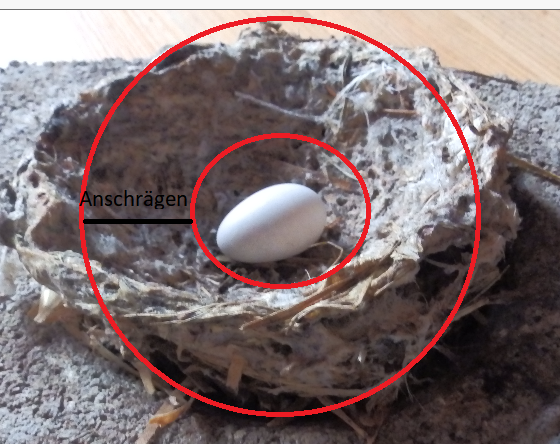 Nest.PNG