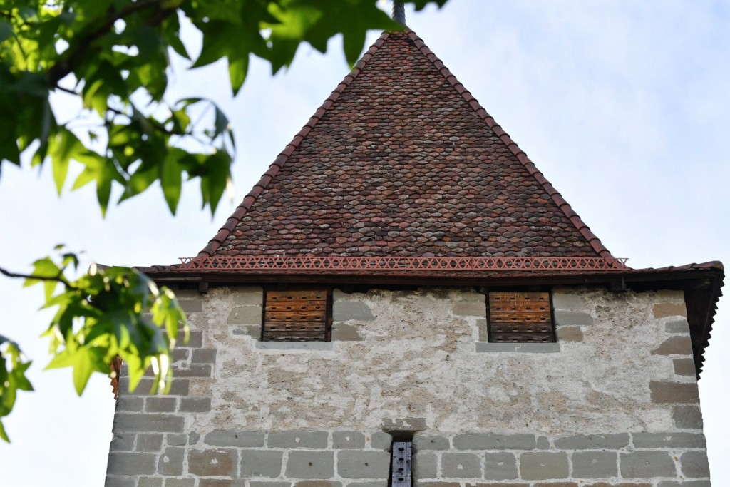 Mauersegler Turm.jpg