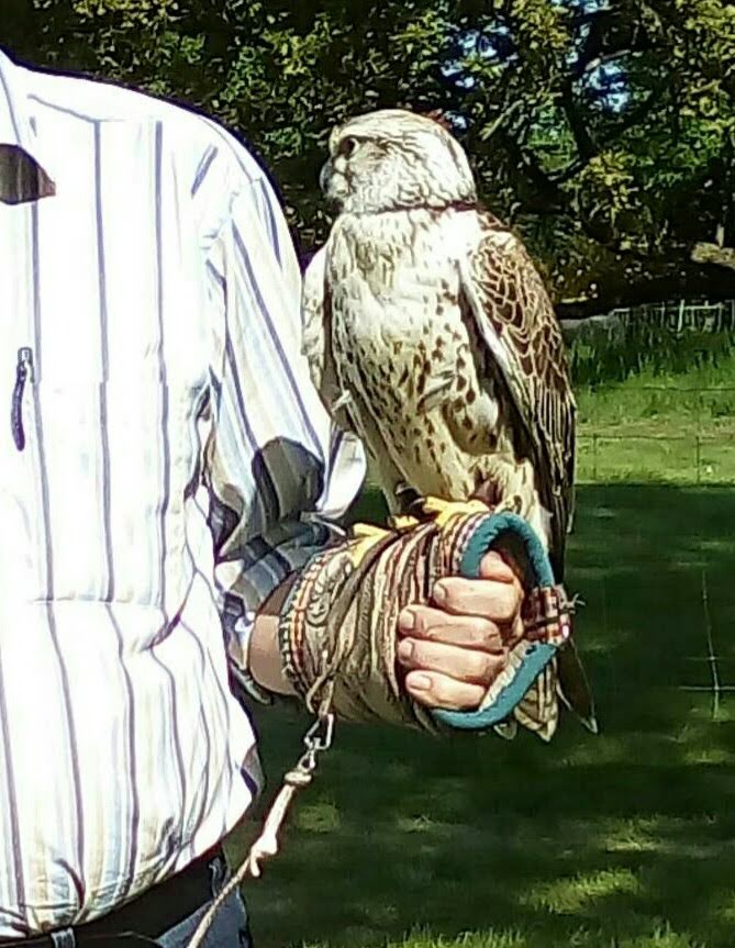 Ich darf den Vogel halten.