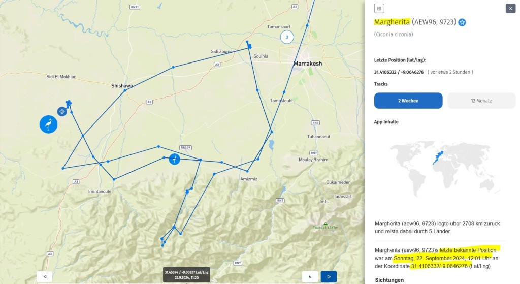 Margherita scheint vor dem Atlas-Gebirge einen gewissen Respekt zu haben. Sie wich zuletzt nach Nordwesten aus.<br />Dennoch scheint sie einen Weg zu suchen, um die Berge auf einfache Weise überqueren zu können.<br />Mal sehen, wann sie es schafft.