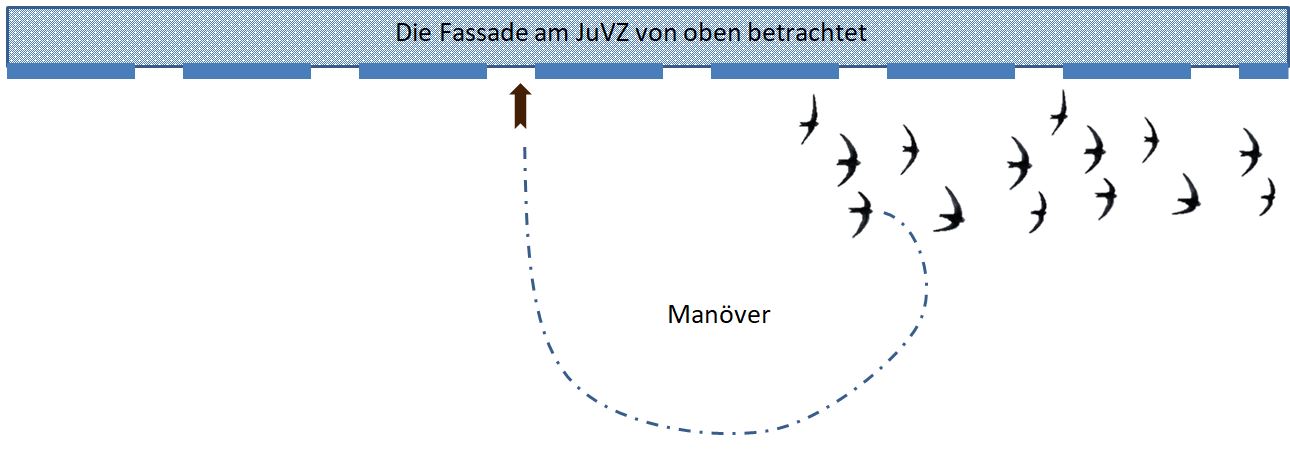 JuVZ-Manöver.JPG