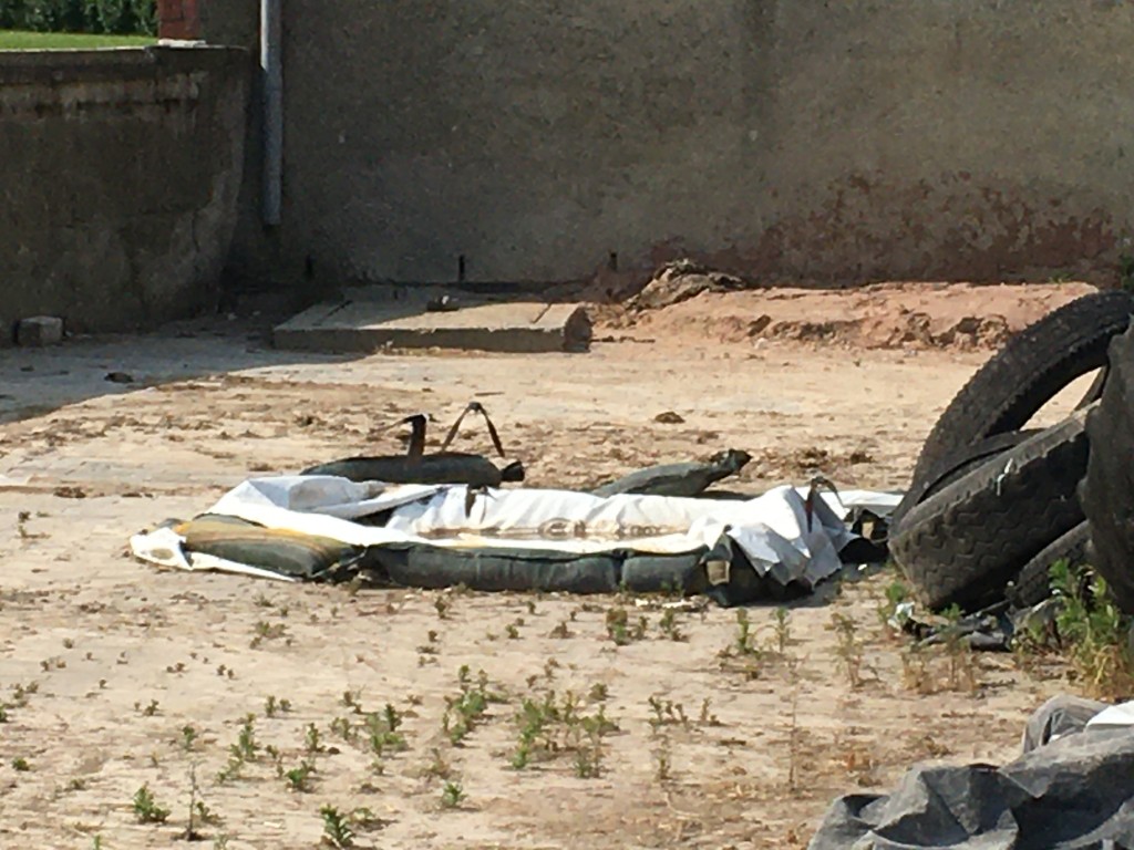 Links darüber drei Mehlschwalben,rechts eine im Flug