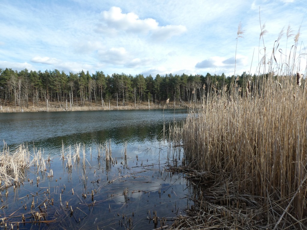 Habitat